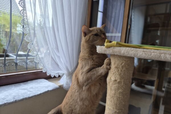 20260404_084428